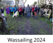 Wassailing 2024