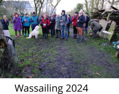 Wassailing 2024